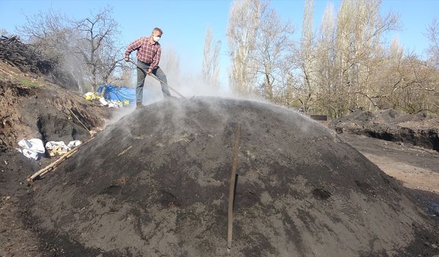 Çanakkale'den ABD ve Avrupa'ya yıllık 60 ton mangal kömürü gönderiyor