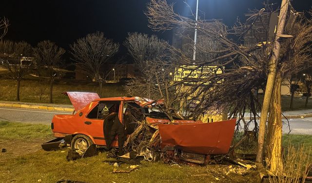 Erzurum'da refüje çıkıp ağaca çarpan otomobildeki 4 kişi yaralandı