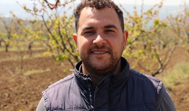 Küresel iklim değişikliği meyve bahçelerinde rekolte kaybına neden oluyor