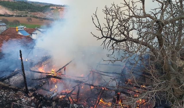 Manisa'da ahırda başlayan ve 2 eve sıçrayan yangın söndürüldü