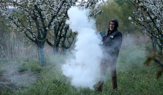 Tekirdağ'da üreticiler "zirai don" nöbeti tutuyor