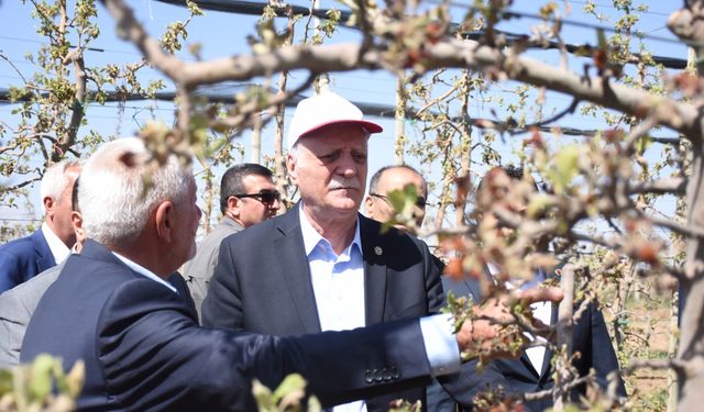 TZOB Genel Başkanı Bayraktar, Karaman'da zirai dondan etkilenen elma bahçelerini inceledi