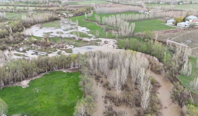 Ağrı’da dere taştı, tarım arazileri su altında kaldı