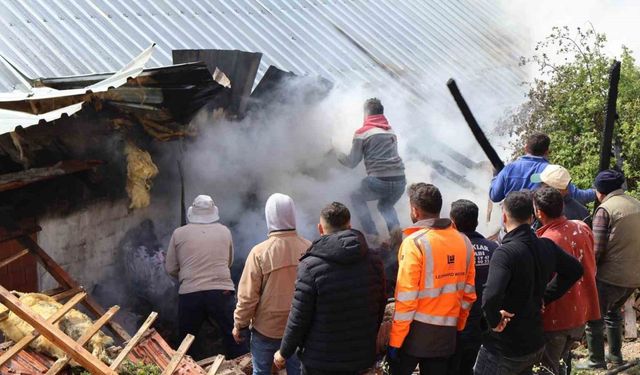 Ahırda çıkan yangın paniğe neden oldu