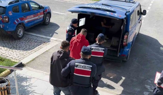 Aksaray’da küçükbaş hayvan hırsızlığına 1 tutuklama