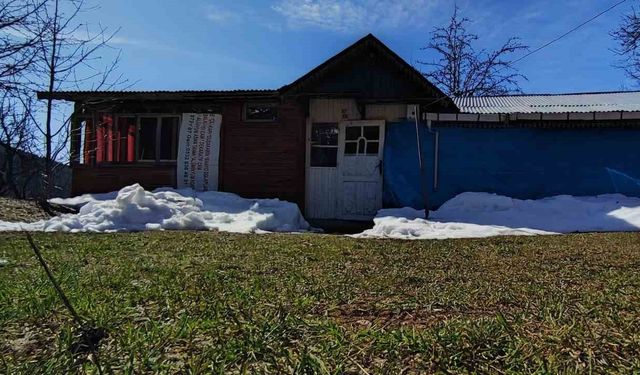 Aynı eve 2 yıl içinde 5. kez ayı girdi, ev savaş alanına döndü