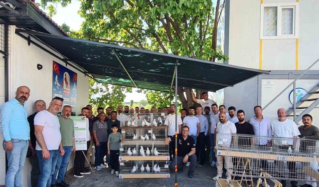 Azman güvercinler güzellikleriyle yarıştı