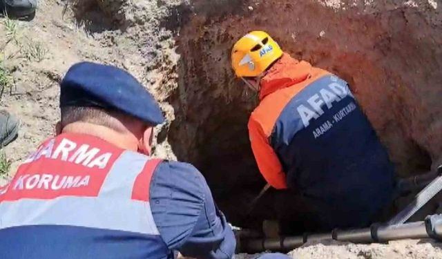 Çobanlar ihbar etti, kuyudaki porsuk kurtarıldı