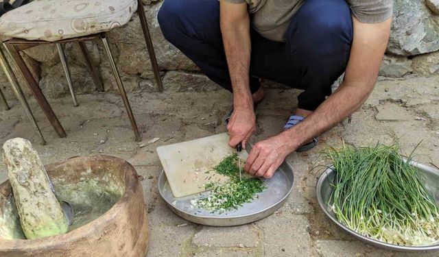 Dağdan toplanıyor, kilosu 10 bin TL’ye satılıyor