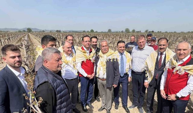 Don afetinden zarar gören üreticilerin yaptıkları masraflar karşılanacak