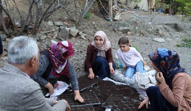 Fidelerini kendileri yetiştiriyorlar