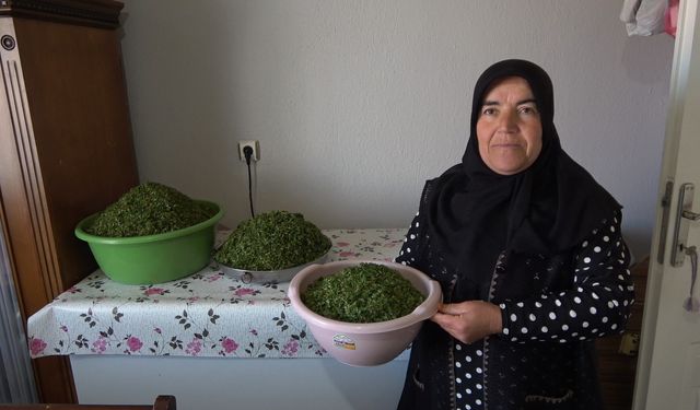 İç Anadolu’nun lezzeti madımak sofralarda yerini aldı