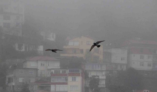 Ordu’da sis etkili oluyor