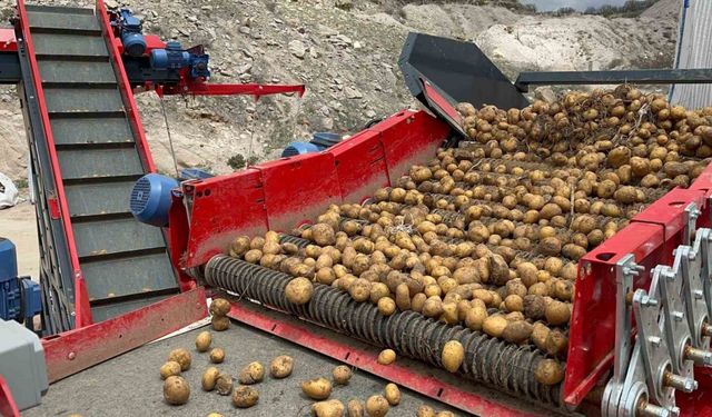 Patatesin toprakla buluşma yolculuğu başladı
