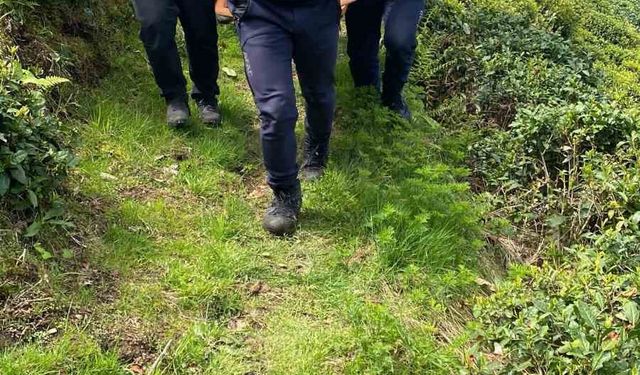 Rize’de teleferik teline takılarak düşen şahıs hayatını kaybetti