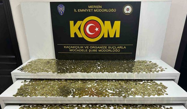 Sahte madeni euro operasyonunda bir şüpheli tutuklandı