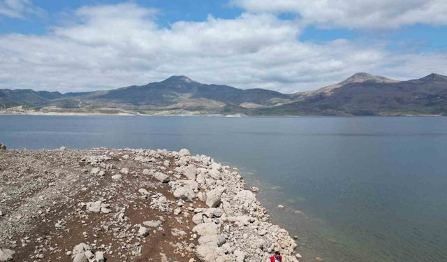 Şırnak’ta sazan avı yasaklandı, denetimler sıkılaştırıldı