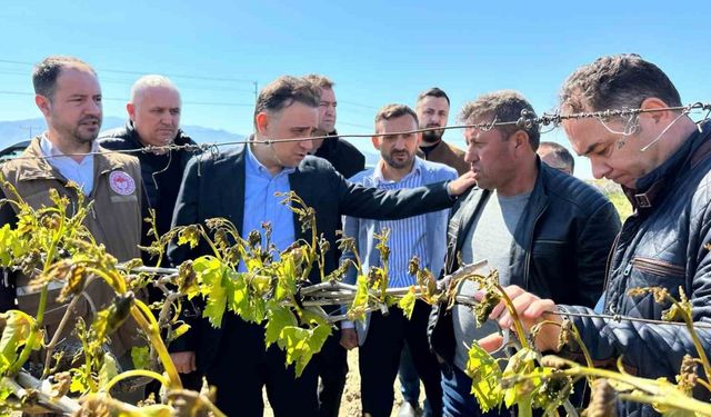 TBMM zirai dondan etkilenen üreticiler için adım attı