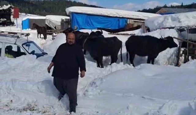 Yaylada hayvanlarıyla mahsur kalan vatandaş kurtarıldı
