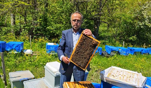 Zirai don Artvin’de arıcılığı vurdu, bu sezon bal üretiminde yüzde 60’a varan kayıp bekleniyor