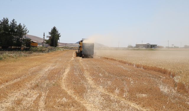 Adıyaman'da sezonun ilk arpa hasadı yapıldı