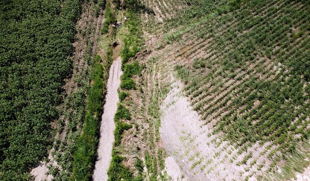 Osmaniye'deki sağanak ve dolu tarım arazilerine zarar verdi