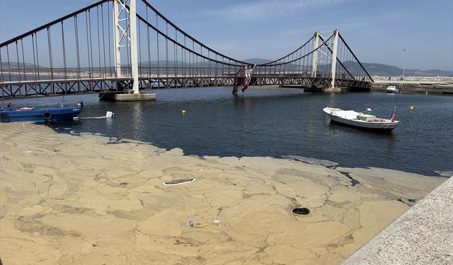 Prof. Dr. Mustafa Sarı, Bandırma ve Erdek'te görülen müsilaja ilişkin konuştu: