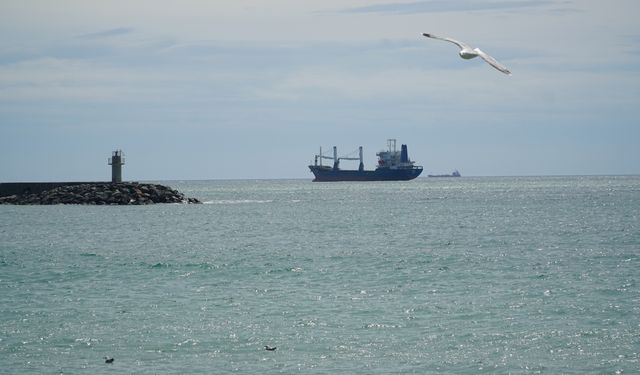 Tekirdağ'da poyraz 5 gündür deniz ulaşımını olumsuz etkiliyor