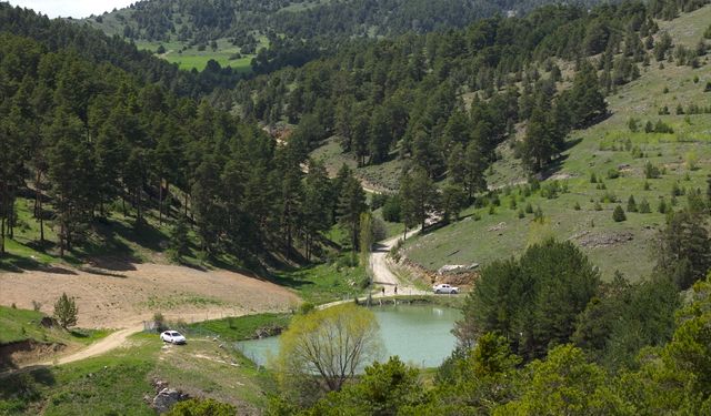 Yozgat'ta 1800 rakımdaki Çerçialan Göleti doğaseverleri ağırlıyor