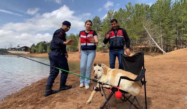 Yozgat'ta jandarmanın iz takip köpeği "Dost" emekli oldu
