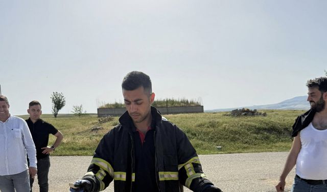 Batman’da tavan arasına giren yılan paniğe neden oldu