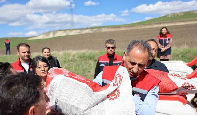 Kars’ta yağlık ayçiçeği üretimi artıyor