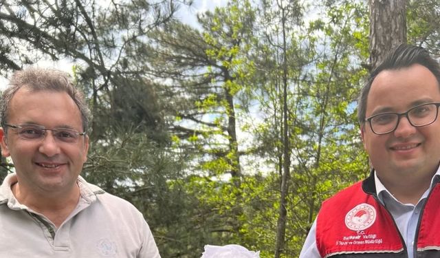 Kazdağları’nda kestane gal arısı zararlısına karşı biyolojik savaş