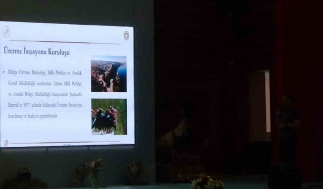 Kelaynak kuşlarının üretimi masaya yatırıldı