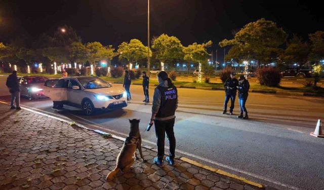 Narkotik köpeği ‘Pars’ zehir tacirlerine göz açtırmıyor