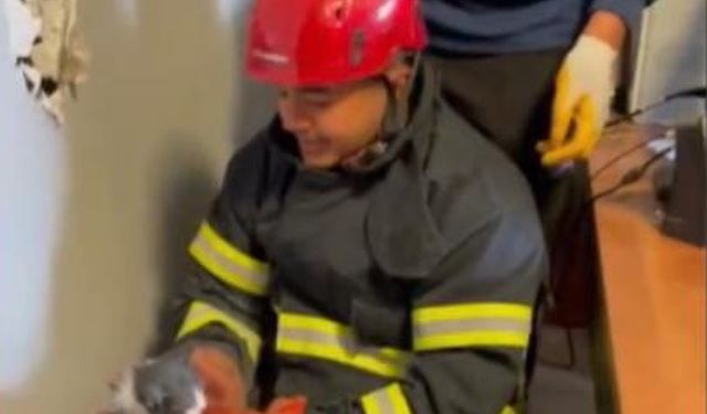 Osmaniye’de mahsur kalan yavru kedileri itfaiye ekipleri kurtardı