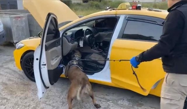 Osmaniye’de uyuşturucu operasyonu: 13 tutuklama