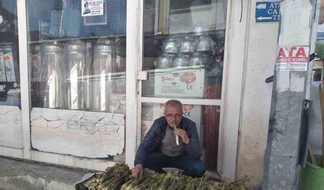 Tercan’da ‘yayla muzunun’ destesi 50 ila 80 TL’den satışta