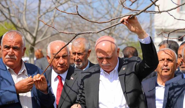 TZOB Genel Başkanı Bayraktar: "65 ilimizde meyve bahçelerimiz don felaketinden etkilendi"