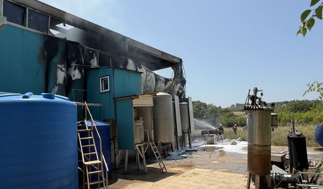 Çanakkale'de bir fabrikada patlama sonrası çıkan yangında 1 kişi yaralandı