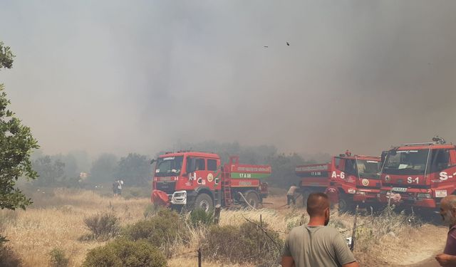 Çanakkale'de tarım arazisinde başlayıp ormana sıçrayan yangın kontrol altına alındı