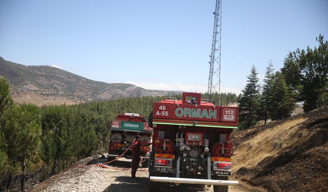 Kahramanmaraş'ta çıkan orman yangını söndürüldü
