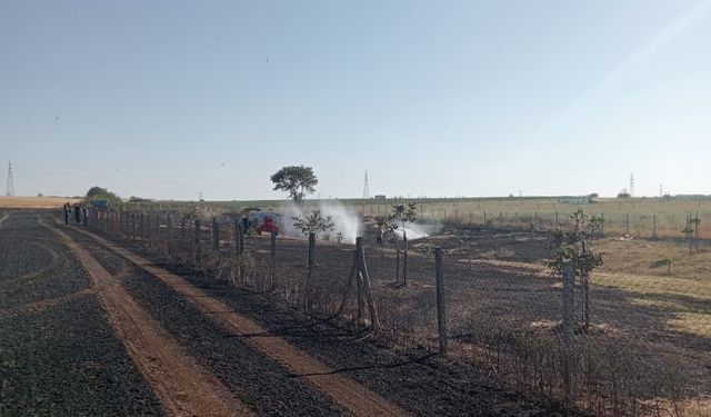 Kırklareli'nde 12 dekar buğday tarlası ile 2 dekar ceviz bahçesi yandı