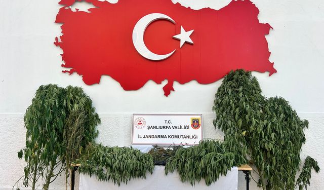 Şanlıurfa'da uyuşturucu operasyonunda 6 şüpheli yakalandı