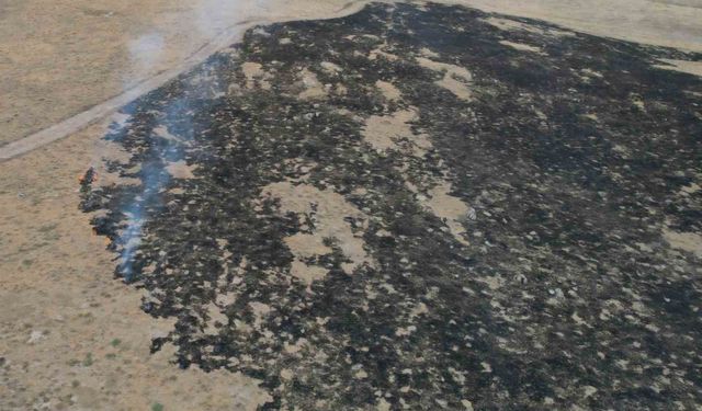 Alevler, tarım arazisine metreler kala kontrol altına alındı: 250 dönüm otluk alan kül oldu