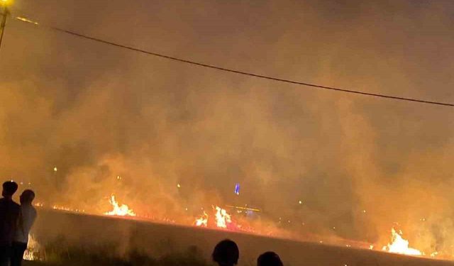 Diyarbakır’da 40 dönüm buğday yangında küle döndü