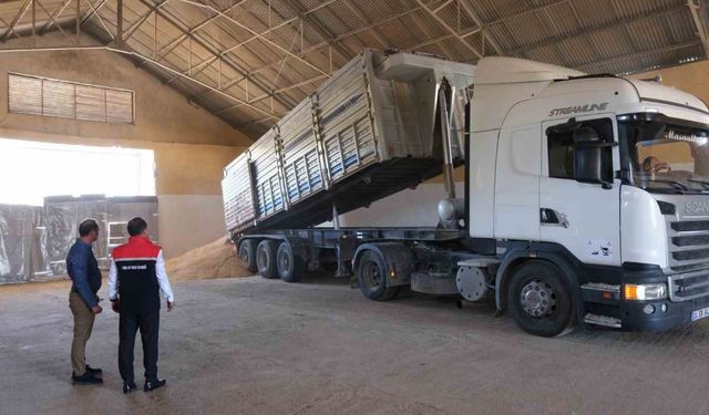 Erzincan’da hububatta ilk hasat başladı