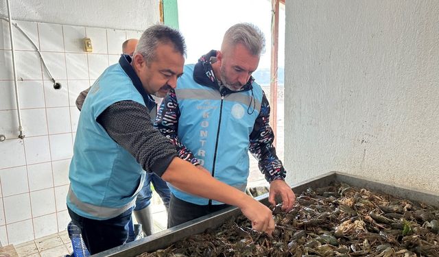 Isparta’da su ürünleri av yasağı bugün itibarıyla sona erdi
