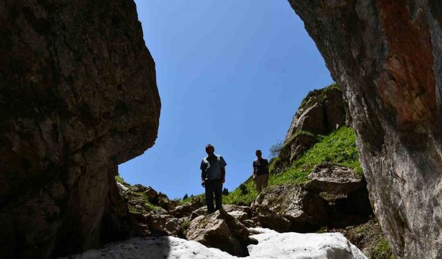Kastamonu’da heyecanlandıran inceleme