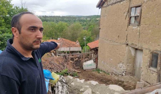 Kütahya’da kurtların saldırısında 11 koyun telef oldu